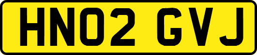 HN02GVJ