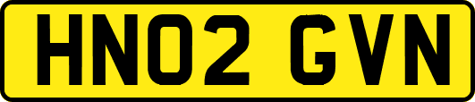 HN02GVN