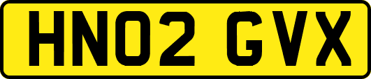 HN02GVX