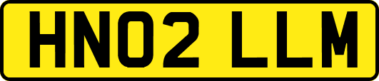 HN02LLM