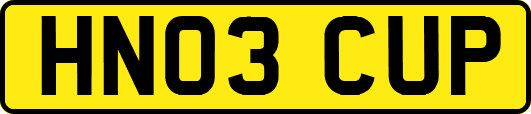 HN03CUP