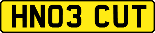 HN03CUT