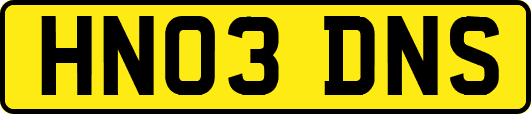 HN03DNS