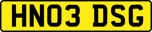 HN03DSG