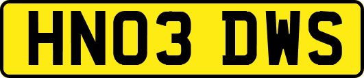 HN03DWS