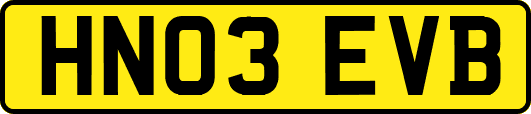 HN03EVB