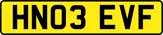 HN03EVF