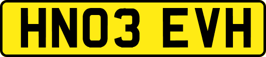 HN03EVH