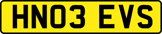 HN03EVS