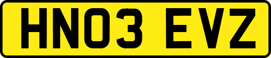 HN03EVZ