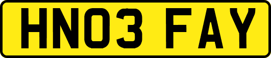 HN03FAY