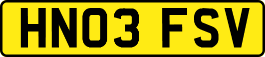 HN03FSV