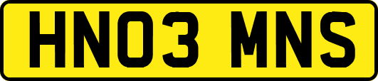 HN03MNS