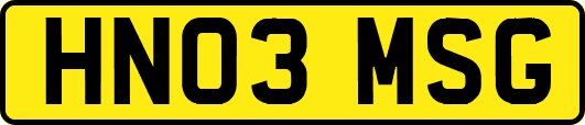 HN03MSG