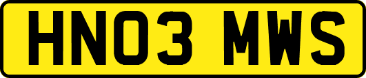 HN03MWS