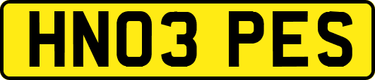 HN03PES