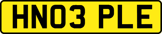 HN03PLE