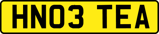 HN03TEA