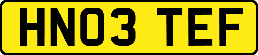 HN03TEF