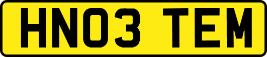 HN03TEM