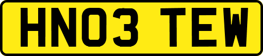HN03TEW