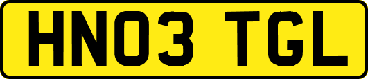 HN03TGL