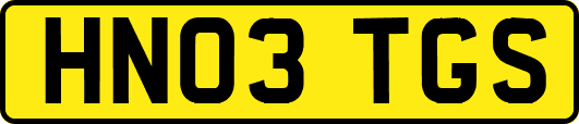 HN03TGS