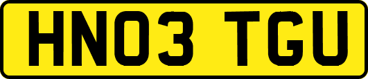 HN03TGU