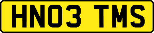 HN03TMS