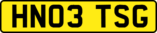 HN03TSG