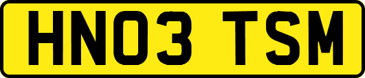 HN03TSM