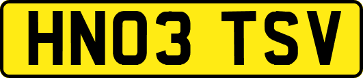 HN03TSV