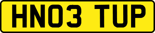 HN03TUP