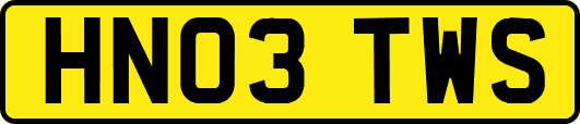 HN03TWS