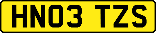 HN03TZS