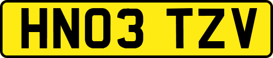 HN03TZV