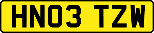 HN03TZW