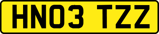 HN03TZZ