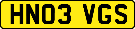 HN03VGS