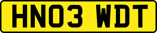 HN03WDT