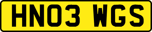 HN03WGS