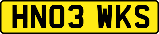 HN03WKS