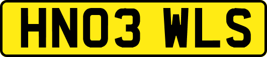 HN03WLS