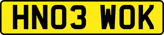HN03WOK