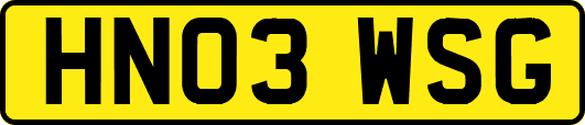 HN03WSG