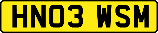 HN03WSM