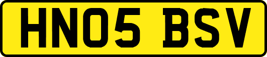 HN05BSV