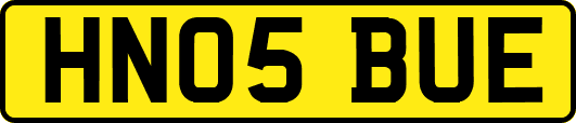 HN05BUE