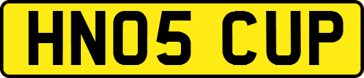HN05CUP