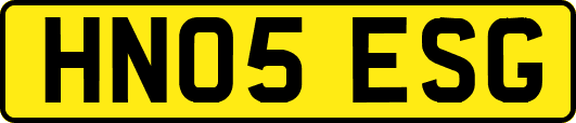 HN05ESG